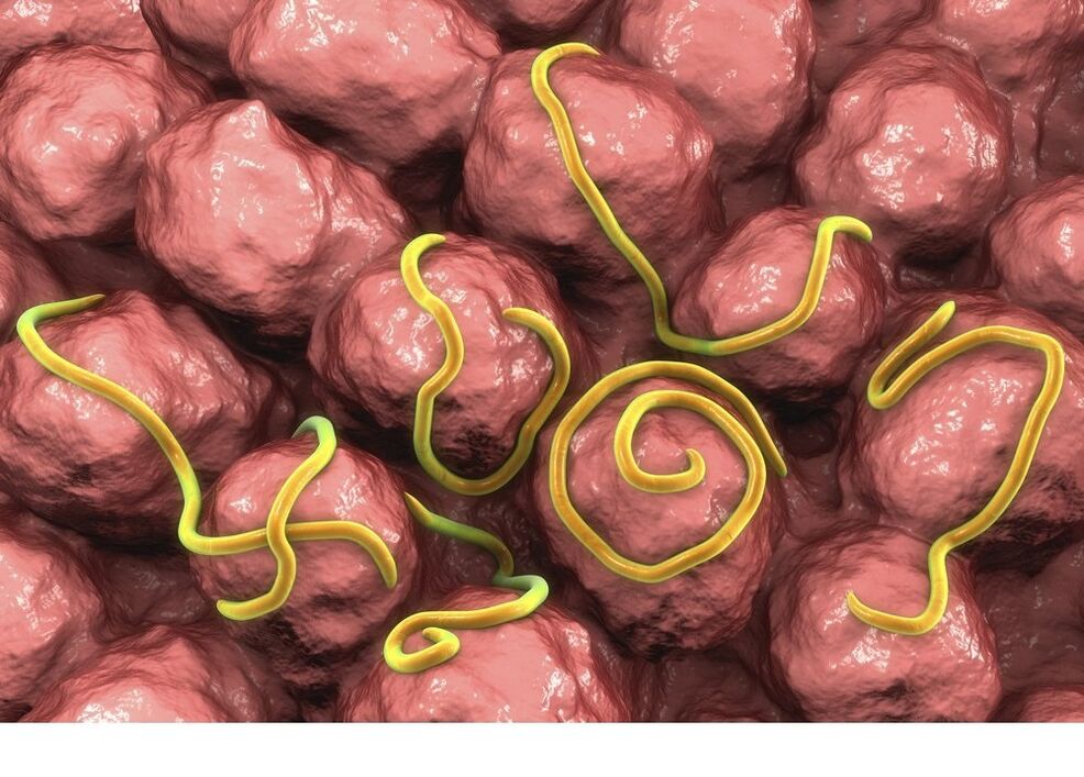 Пискадағы мүшесінің ашық фотосы